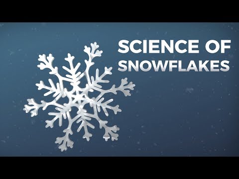 The Science of Snowflakes