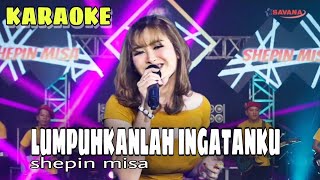 Download lagu Lumpuhkanlah Ingatanku Karaoke Shepin Misa||koplo Nada Cewek mp3