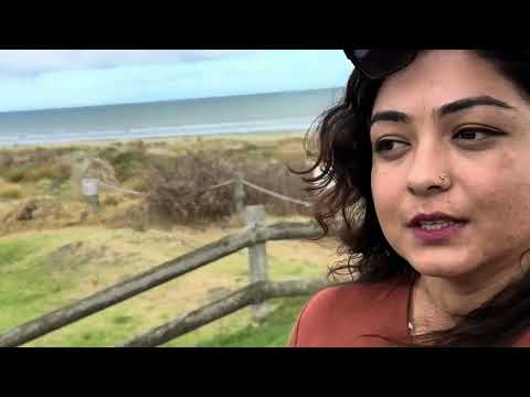 Thumbnail for Epic New Zealand Family Road Trip | Palms North Wellington to Nelson via Cruise!