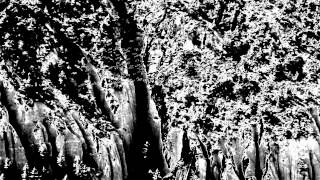 Troika - Dark Auroras In The Sky (fan -made video)