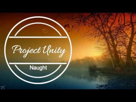 Project Unity - Naught Lyric Video