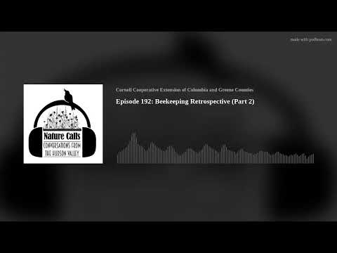 Episode 192: Beekeeping Retrospective (Part 2)