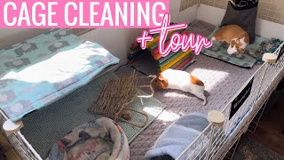 Cleaning My Guinea Pigs Cage Timelapse | Cage Tour