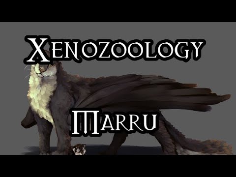 Xenozoology: Marru - 40K Theories
