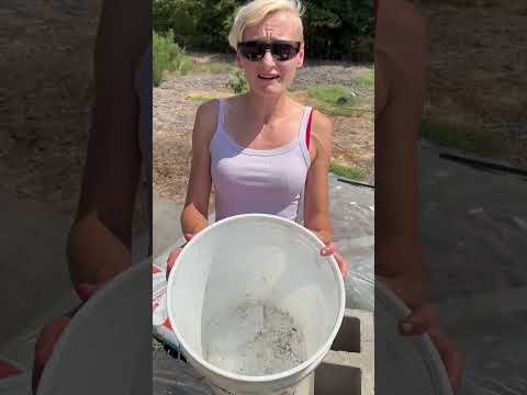 How To Attract More Bees To Your Garden Quick