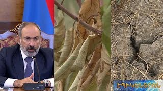 «Պետք է ավանդական ոռոգումը փոխարինել կաթիլայինով». Փաշինյանը խորհրդակցություն է արել