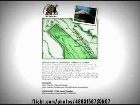 Amplify Maya Voices Zipcast 05.2012