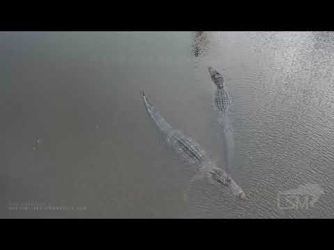 9-20-2019 Fannett, Tx Horses and cars on overpass that's island, crazy drone video of flooding I-10