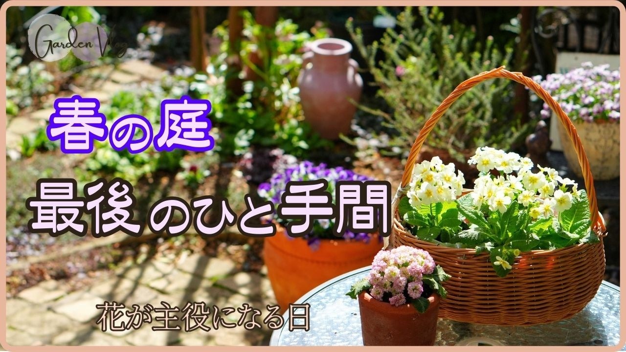 バラが主役になる庭作り 宿根草と種から育てた小花で完成させる