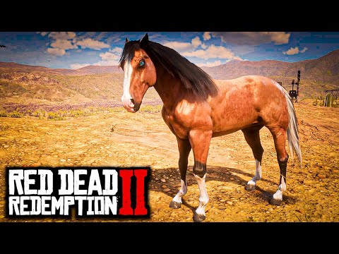 STANDARDBREDS AMERICANOS (O COMPÊNDIO pt.2) - RED DEAD REDEMPTION 2