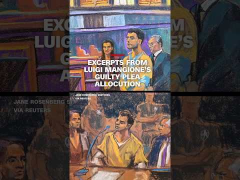 Excerpts from Luigi Mangione’s guilty plea allocution