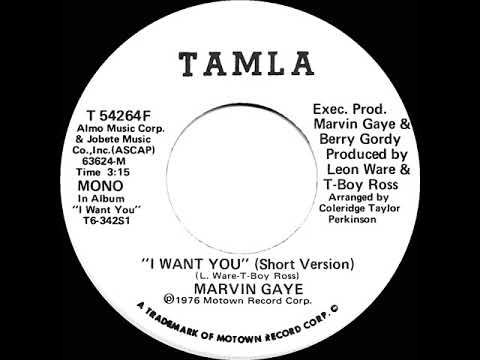 1976 Marvin Gaye - I Want You (mono radio promo 45--short version)
