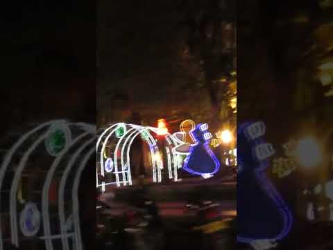 🛣️🚘Cimitarra Santander