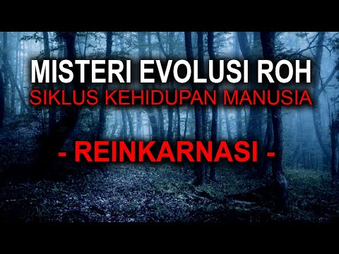 EVOLUSI ROH - MISTERI REINKARNASI MANUSIA