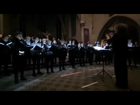 MELTING'POTES/ALEATORIKA, Njest svjat, Stevan St.Mokranjac