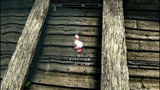 #番外編 スカイリム実況【ナイスボートの宝石】