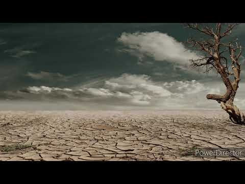 Fistaz Mixwell - This is Goodbye