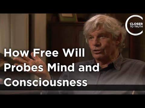 Stuart Kauffman - How Free Will Probes Mind and Consciousness