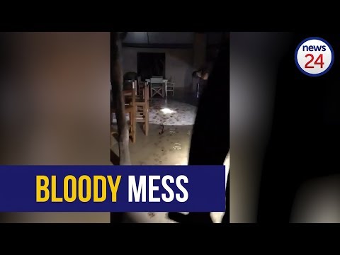 WATCH: 14 hyenas kill Kudu bull in reception area of luxury Zim safari camp WATCH: 14 hyenas kill Kudu bull in reception area of luxury Zim safari camp
