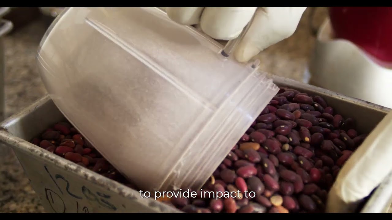 Soy Afric: Strengthening the Foundations for Sustainable Agrifood Growth
