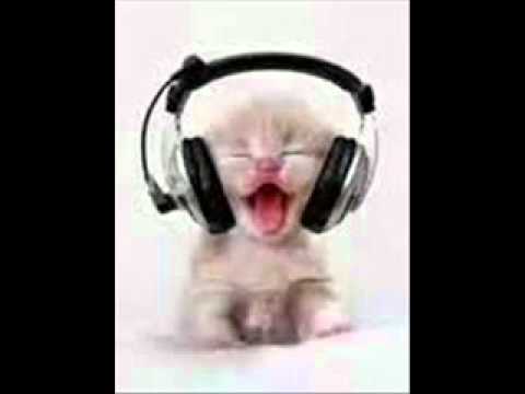 DJ Vipe - Basto vs Tim Berg - Gregory's Bromance Theme