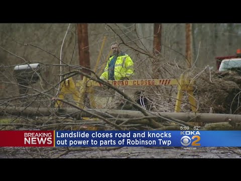 Landslide Brings Down Tree In Robinson Twp.
