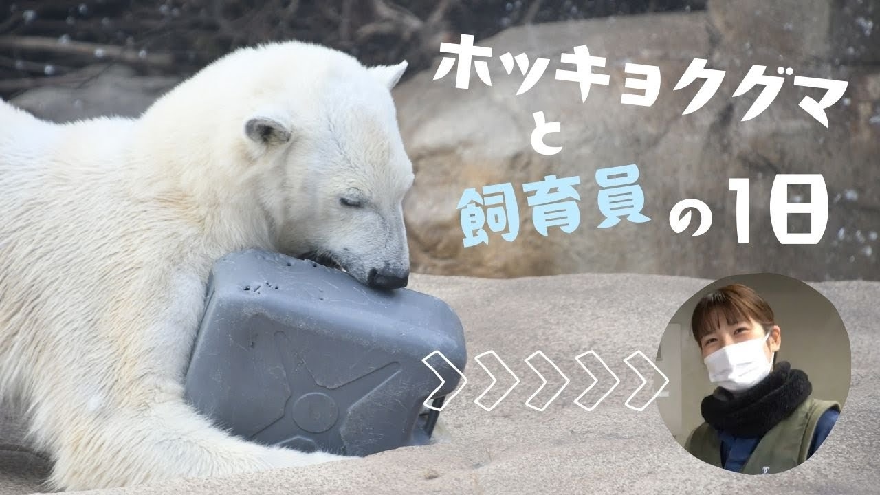 王子動物園