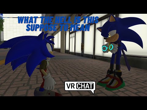 What the hell is this supposed to mean. Alex meets Nikki the Hedgehog. VRChat.