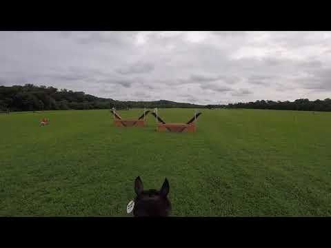 XC Helmet Cam: Reloaded (Open Novice | 2018 Area III Championships)