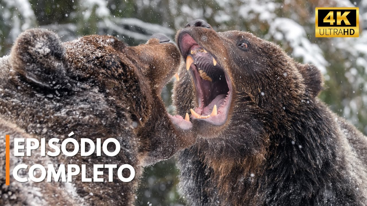 GRÉCIA - Terra de Mitos e Natureza Selvagem | Documentário Completo