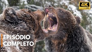 GRÉCIA - Terra de Mitos e Natureza Selvagem | Documentário Completo