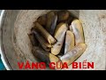 Trãi Nghiệm Nghề LẶN BIỂN Bắt Móng Tay ở CÀ MAU Kiếm Tiền Triệu Mỗi Ngày