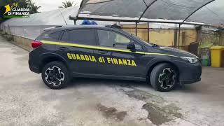 canile-lager-animali-in-gabbie-piccole-tra-rifiuti-ed-escrementi