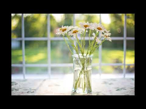 動画 ゲーム等のbgm何でも作ります ジャズピアノの技能を生かしたオシャレbgm ジャズ以外も可 Bgm Se ジングル作成 ココナラ