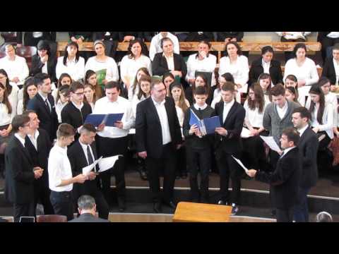 COR BARBATESC DOROHOI RO - MAI COASE MAI TESE...