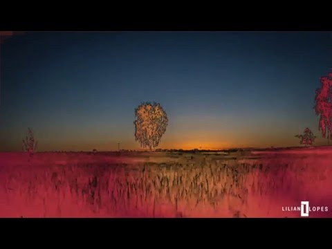 Venha O Teu Reino - Lilian Lopes