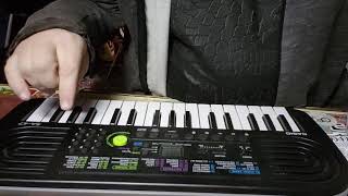 Video thumbnail for Casio SA-47 Indian Music Special Model Demo of Features! by James Farber