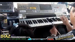 Download lagu Jantan Tak Laku - Lagu Melayu (Versi Cewek) Music Keyboard TECHNICS KN7000 DIAZ PROGRESSIVE LANGKAT mp3
