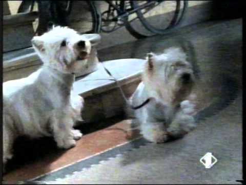 sequenza spot italia1 - 11 ottobre 1995