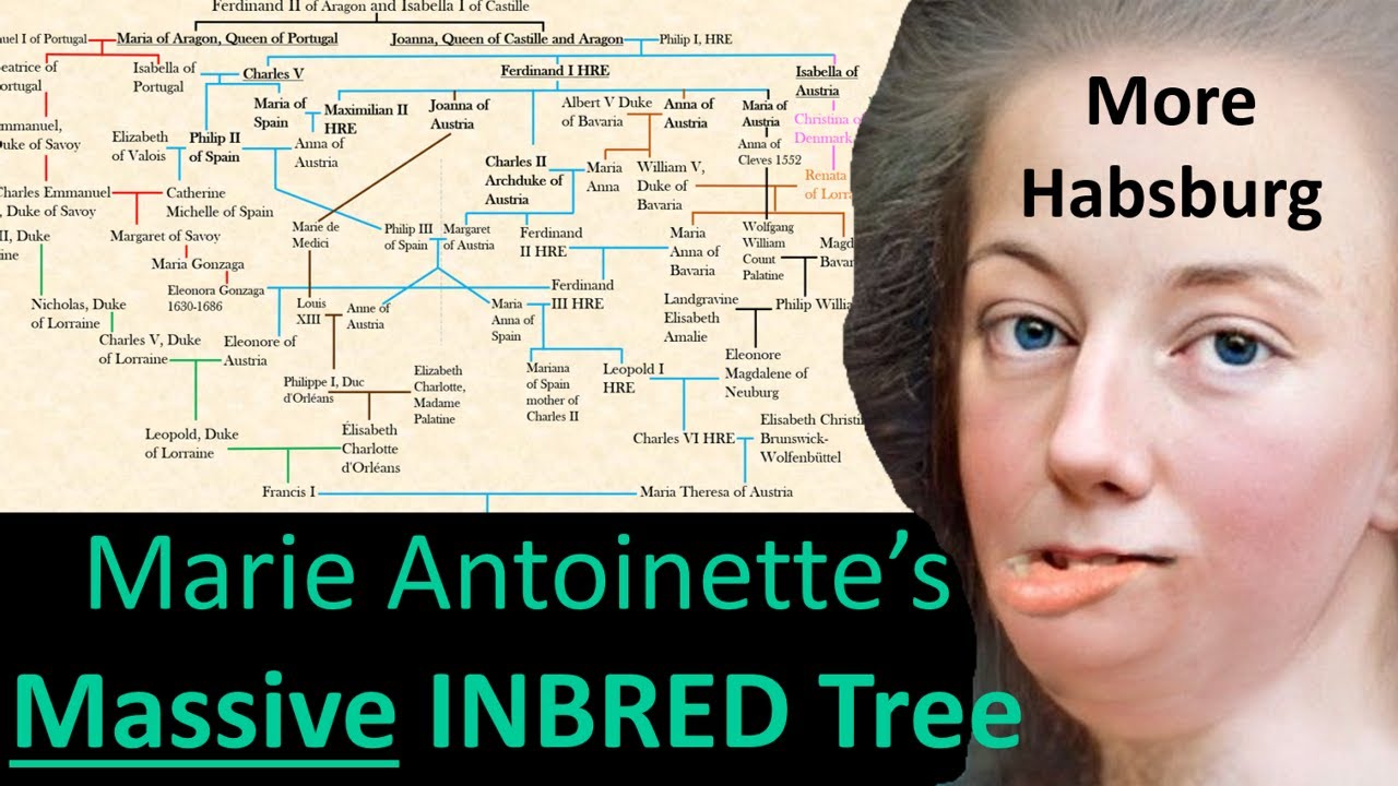 Did Marie Have Habsburg Lip? Tipseri