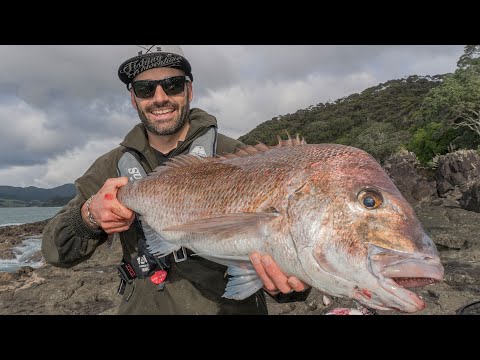 HOW TO: CATCH BIG FISH OFF THE ROCKS