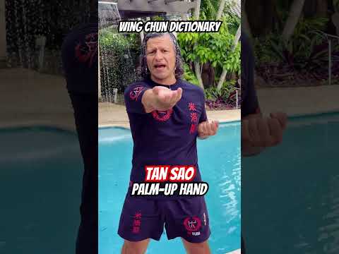 Wing Chun Dictionary | Tan Sao (Palm-Up Hand)
