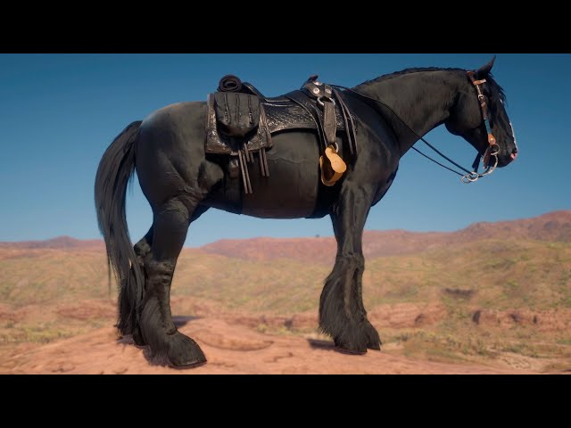 Vídeo relacionado con Diffaxy Látigo Negro de 48 cm, látigo de Montar con Mango de Cuero, Adecuado para espectáculos ecuestres, Entrenamiento de Caballos, representaciones teatrales y Juegos de rol