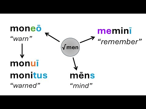 Why Latin has Principal Parts