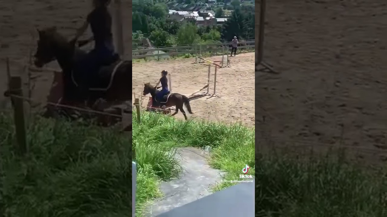 Mes bébés d’amour