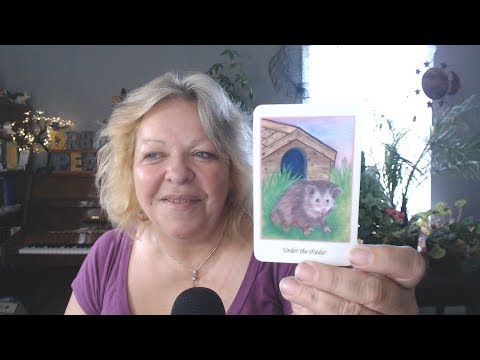 Your Daily Focus for September 24, 2019 - Tarot - Astrology - Numerology