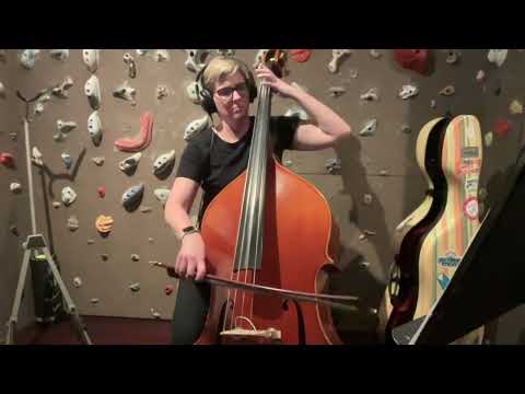 Midnight Adventure   Bass