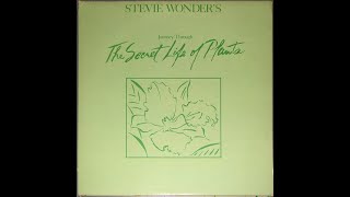 STEVIE WONDER.JOURNEY THROUGH THE SECRET LIFE OF PLANTS.A SEED&#39;S A STAR AND TREE MEDLEY.12&#39;&#39; LP.1979