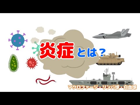 炎症:その正体、種類、症状、原因、治療法