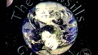 THE COWSILLS- A CLIP FROM VH1-"WHERE ARE THEY NOW?"- AIRED IN 2000